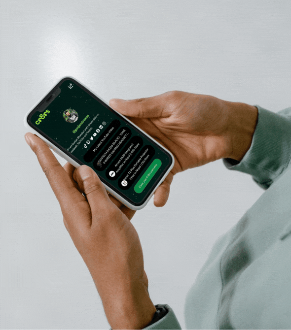 One Link, Everything